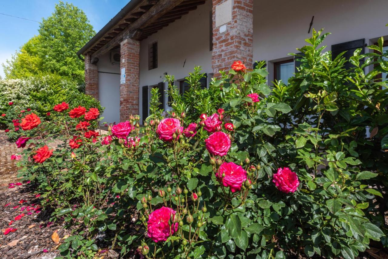 Country House Viaro_150Sqm Vanzo Buitenkant foto